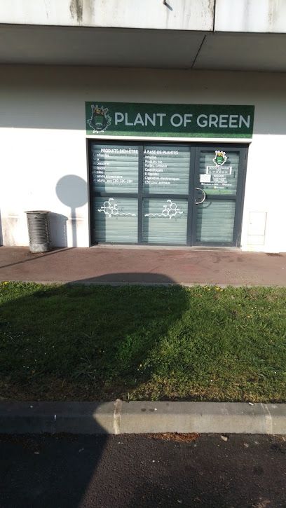 Plant Of Green CBD Val de Reuil