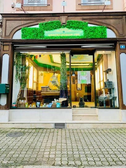 Amstramgram CBD