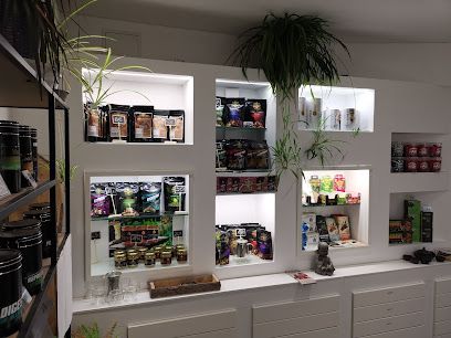 Natural CBD Carcassonne