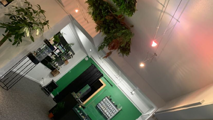 Bio Hemp CBD Molsheim