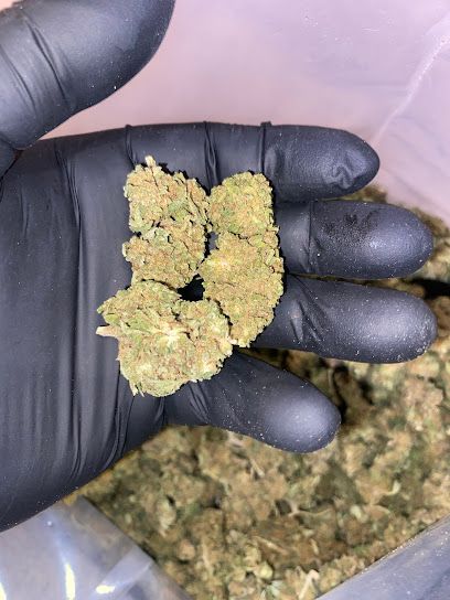 CBD Selestat - Bio Hemp