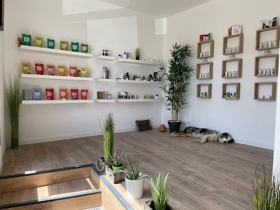 Magasin CBD à Rezé - Herbalcura