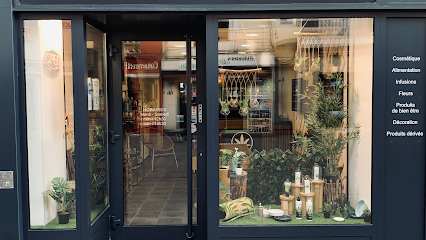 Season Leaf CBD Shop Dieppe