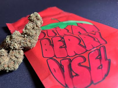 Le M CBD