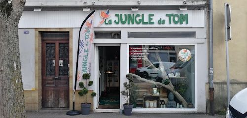 CBD Metz - La Jungle de Tom