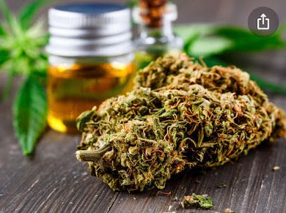 CBD Harfleur Naenae « Le Havre Harfleur Gonfreville »