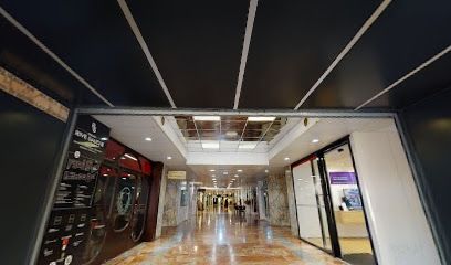 CBD.in - CBD Shop Premium