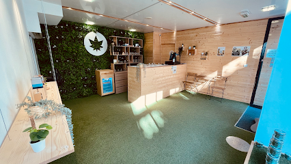 High Society CBD Poitiers
