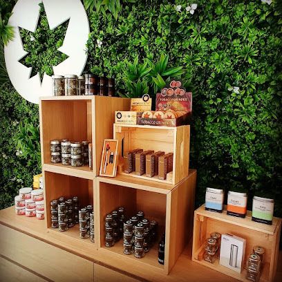 High society CBD Valenciennes