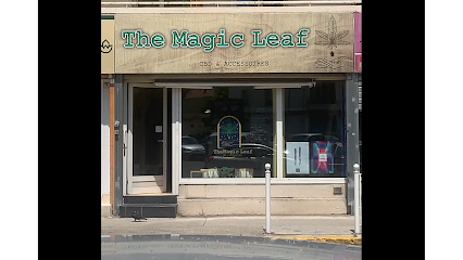 The magic leaf - CBD & accessoires Toulon
