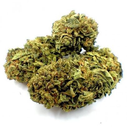 CBD Dame Nature - Cannes
