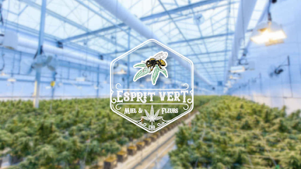 EspritVert | Cannabis CBD légal en ligne (Dieppe)