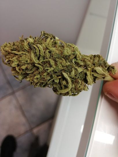 Green House CBD Shop Paris