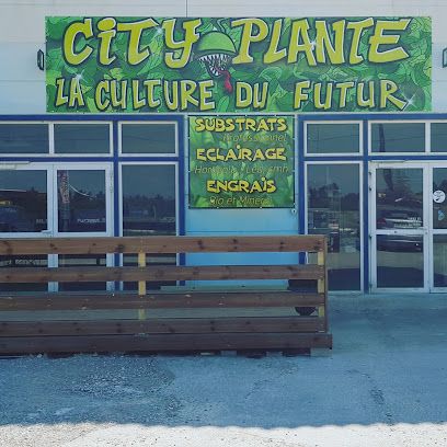 city plantes (ancien hydrozone)