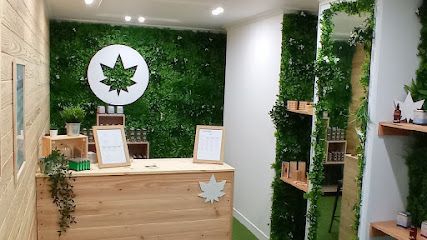 High Society CBD Fontainebleau