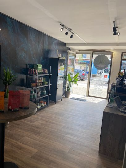 Le Temps du CBD - Plaisance du Touch