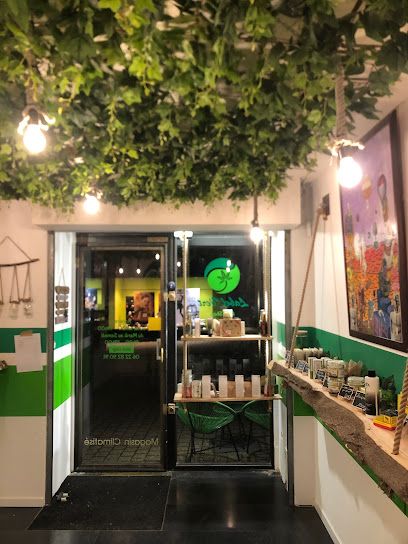 CBD shop Label Vert - Fleurs CBD, Huile, Bien-être, Chanvre thérapeutique à Aubenas