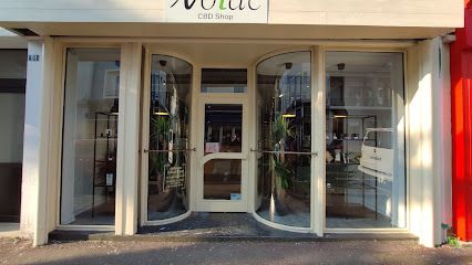 CBD lorient - Noide - English spoken