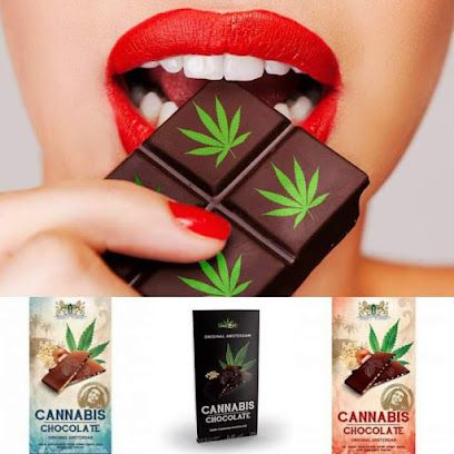 CBD hempunity