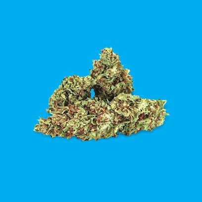 Tulip Botanics CBD