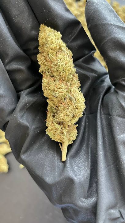 Hunter family CBD
