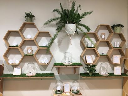 Deli hemp CBD Quimper