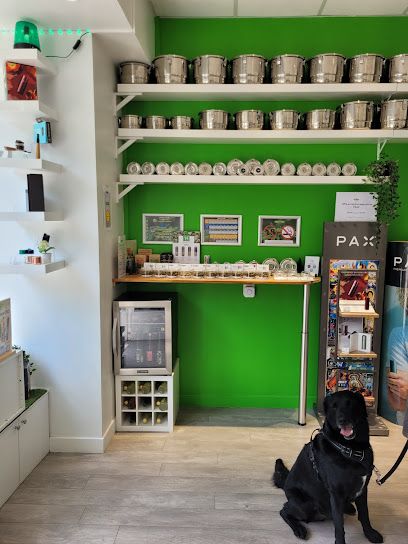 Perfect Time CBD Premium Paris Nation