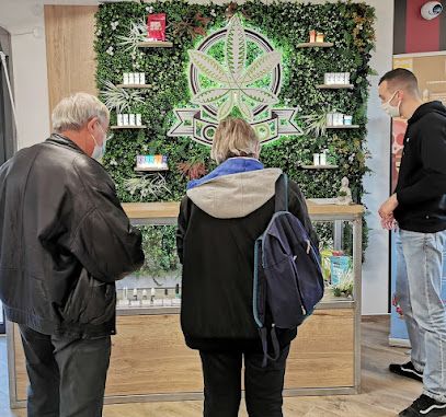 OCBD fleurs de CBD résines, huiles, infusion et cosmétique