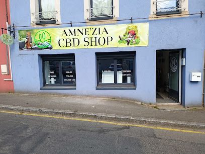 Amné'zia CBD Shop Binic