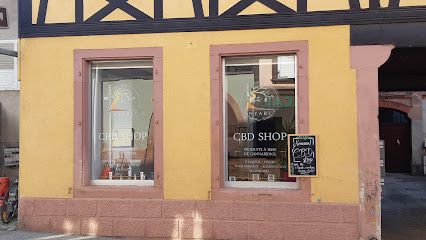 Nyabi - CBD Shop