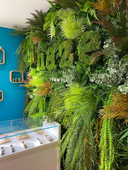 Haze Family | CBD Livraison - 24h ! Marseille, Aix en Provence & Lyon