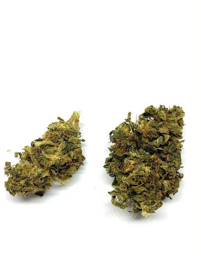 CBD Monsieur Chanvre Thouars