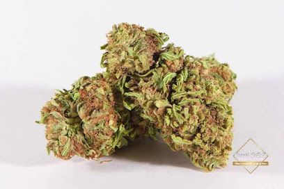 Le Celtique Bar Tabac Vape Wpuff et CBD Shop