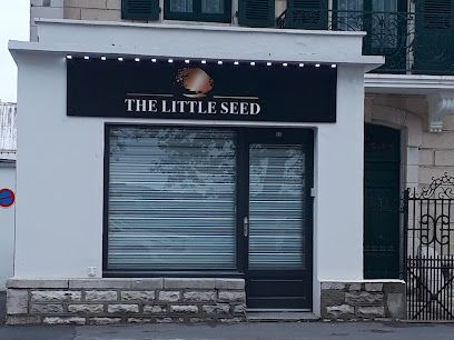 The Little Seed