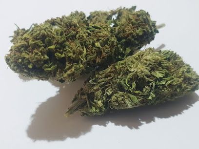 CBD luz 64