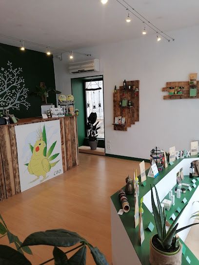 Budgie Shop CBD