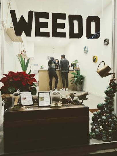 Weedo CBD
