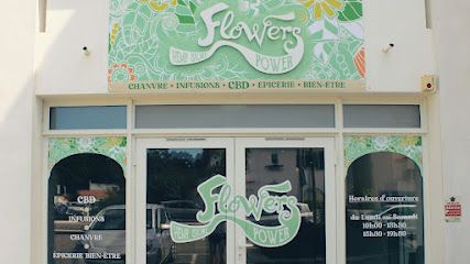 Flowers Power CBD Shop Labenne