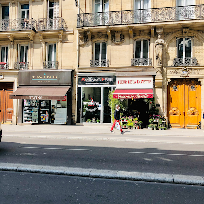 Smoking Free CBD SHOP Paris 9